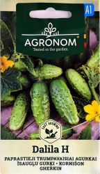 Gherkin Dalila F1 Seed